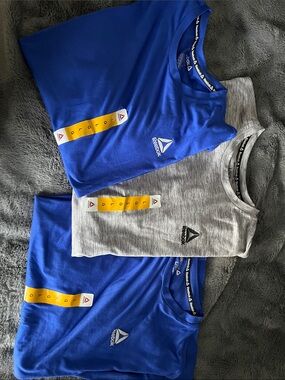 Reebok Boys' Short Sleeve Tee Pack - Royal Blue & Heather Gray